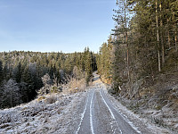 ØyvindBergkvam_20241214_675d4fd7dd29c.jpg