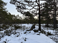 ØyvindBergkvam_20241214_675d4fe9e2dc0.jpg