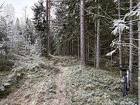 ØyvindBergkvam_20241214_675d4ffd05e45.jpg