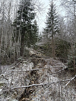 ØyvindBergkvam_20241214_675d500915fa5.jpg