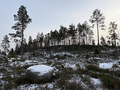 Toppen av Hestefjellet sett fra traktorveien.