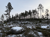 ØyvindBergkvam_20241214_675d500f911aa.jpg