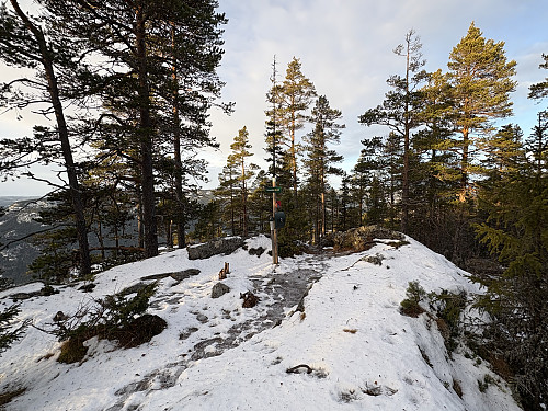 Toppkollen på Klevarudnatten