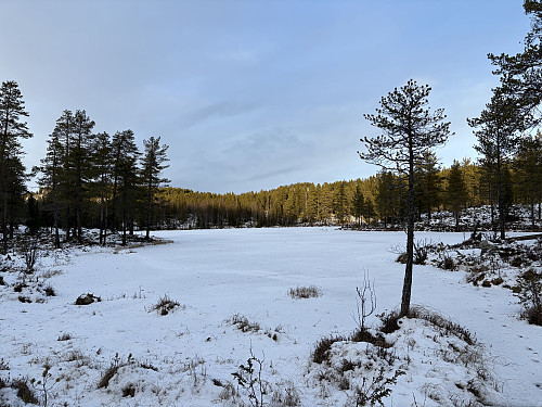 Ved Breiskardtjern