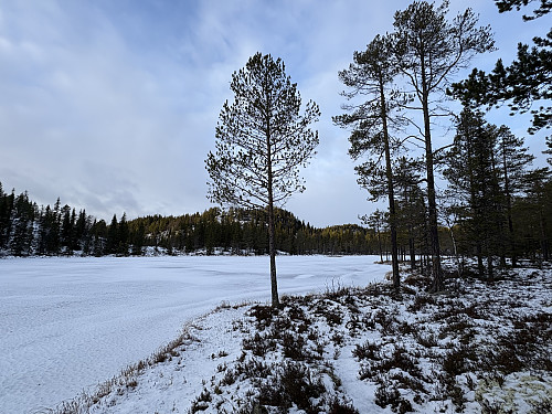 Ved Nordre Rudstjern. Rudsåsen Vest ruvende i bakgrunnen