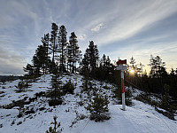 ØyvindBergkvam_20250124_67939c1d89232.jpg