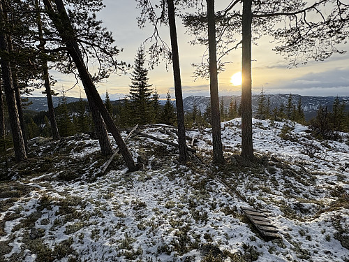 Rudsåsen V
