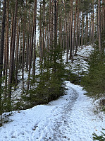 ØyvindBergkvam_20250125_67949a7c215aa.jpg