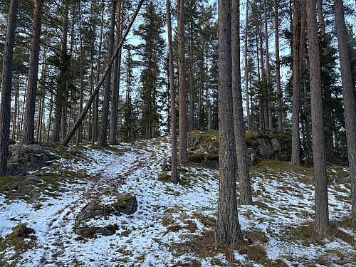 Toppkollen på Lisbetnøbbi