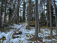 ØyvindBergkvam_20250125_67949a9860ead.jpg
