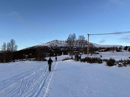 Vardhøe sett fra Øygardseter hvor vi parkerte bilen
