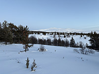ØyvindBergkvam_20250125_6794b25d0abc8.jpg