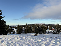 ØyvindBergkvam_20250125_6794bb1eae641.jpg
