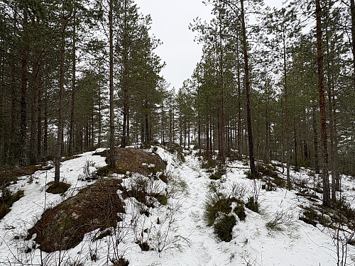 På vei mot utsiktspunktet nord på åsryggen