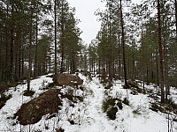 ØyvindBergkvam_20250224_67bc875161188.jpg