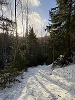 ØyvindBergkvam_20250224_67bc8bbc168a0.jpg