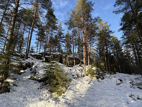 Bjønnehihøgda