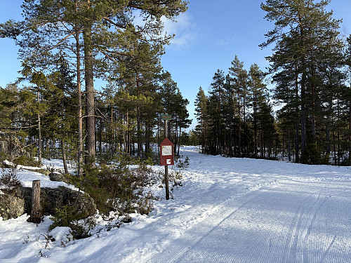 Snuplassen ved Drøplene