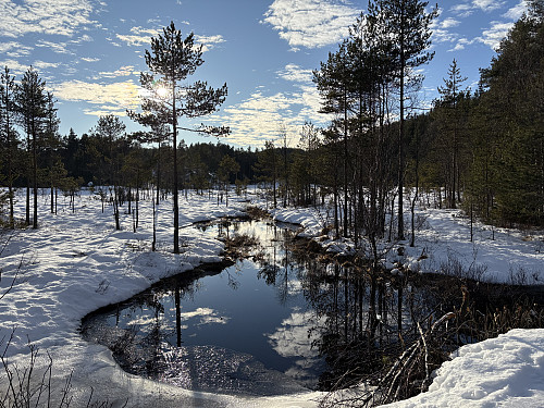 Vårlig ved Aurekytetjennet