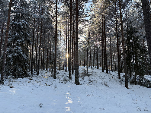 Sæteråsen i Aurskog-Høland
