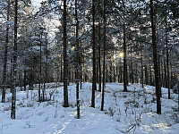 ØyvindBergkvam_20250225_67bdf8d5f3ffa.jpg