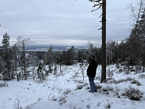 Utsikt fra Minjarudkollen mot Øyeren og Flateby
