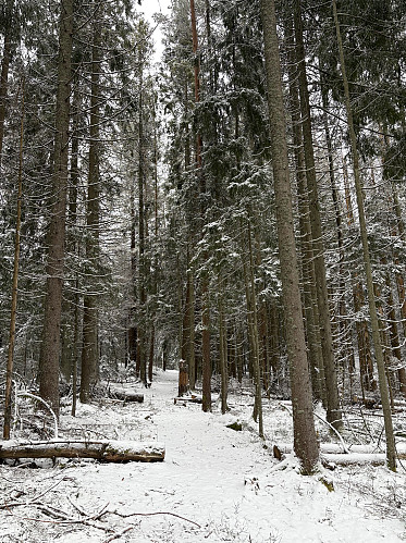 Nydelig terreng med et tynt lag nysnø innover mot toppen