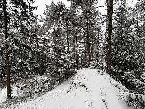 Toppkollen på Romsåsen