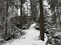 ØyvindBergkvam_20250225_67be02974806f.jpg