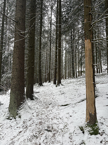Fin sti hele veien opp til Kråkåsen