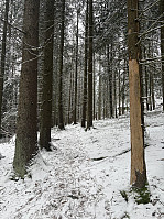 ØyvindBergkvam_20250313_67d31443857b8.jpg