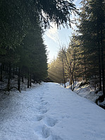 ØyvindBergkvam_20250313_67d31a67d1655.jpg