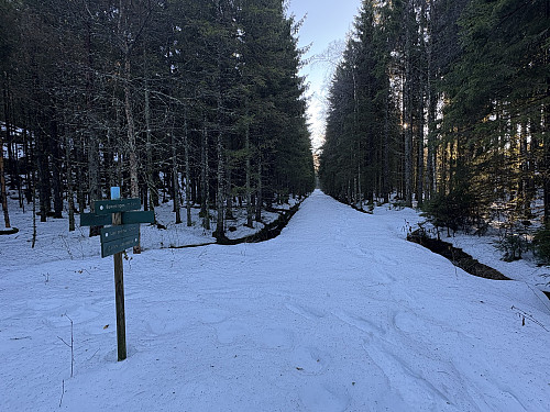 Et par gode ski kunne fungert vel så bra innover her.