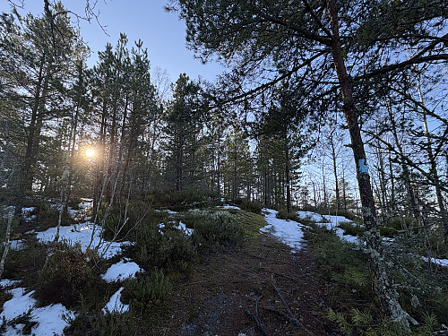 Snart på toppen av Lauvesnyta