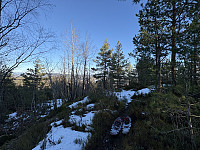 ØyvindBergkvam_20250313_67d31a73402d6.jpg