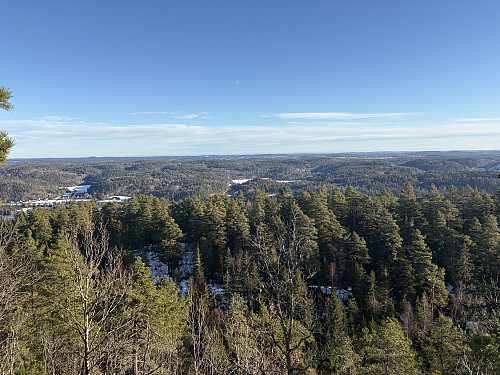 Utsikt østover fra Lauvesnyta