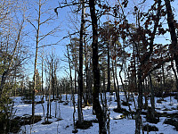 ØyvindBergkvam_20250313_67d32176772f0.jpg