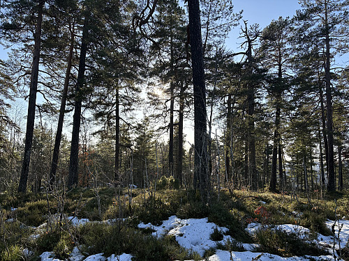 ...eller her:)