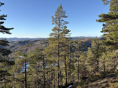 Helt vest på kollen er det fin utsikt vestover
