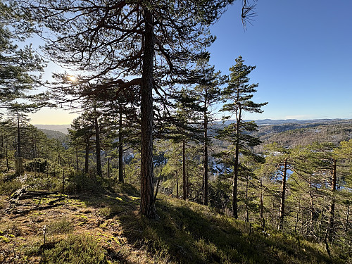 Helt vest på kollen er det fin utsikt vestover