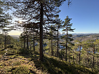 ØyvindBergkvam_20250313_67d32195dd0c3.jpg