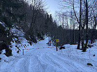 ØyvindBergkvam_20250313_67d3288fb322e.jpg
