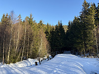 ØyvindBergkvam_20250313_67d3289b993e8.jpg