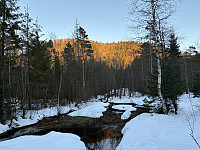 ØyvindBergkvam_20250313_67d328c40ffe2.jpg