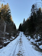 ØyvindBergkvam_20250314_67d3efd226c84.jpg