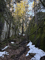 ØyvindBergkvam_20250314_67d3efe018de1.jpg
