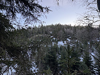ØyvindBergkvam_20250314_67d3efe67715b.jpg