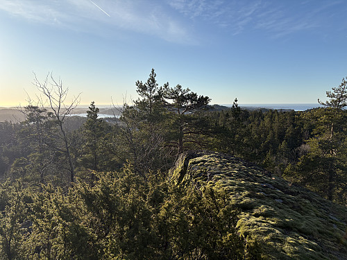 Toppen av Brånåklovåsen NØ