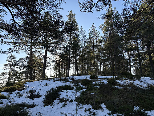 Snart oppe på Jomfruås