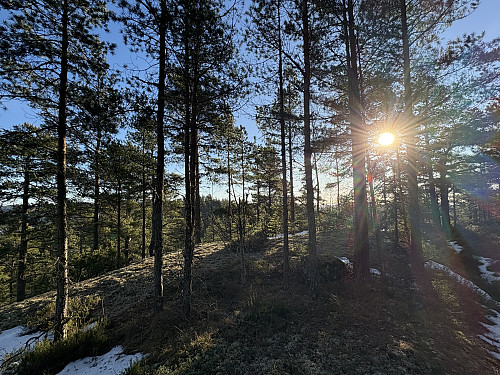 Jomfruås med Brånåklovåsen NØ i bakgrunnen
